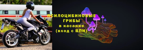 ПСИЛОЦИБИНОВЫЕ ГРИБЫ Верхнеуральск
