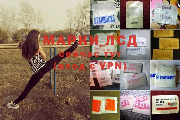 ПСИЛОЦИБИНОВЫЕ ГРИБЫ Верхнеуральск