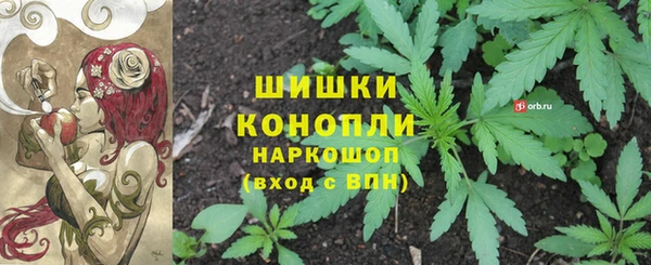ПСИЛОЦИБИНОВЫЕ ГРИБЫ Верхнеуральск