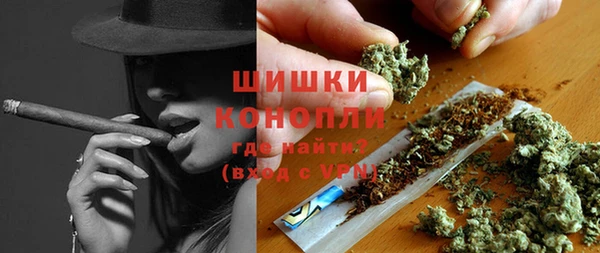 ПСИЛОЦИБИНОВЫЕ ГРИБЫ Верхнеуральск