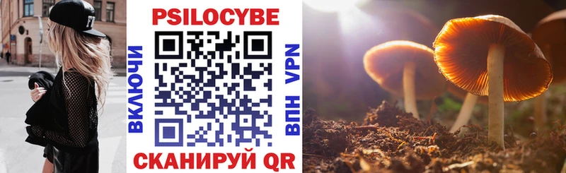 где найти   Кимовск  MEGA tor  Псилоцибиновые грибы Magic Shrooms 